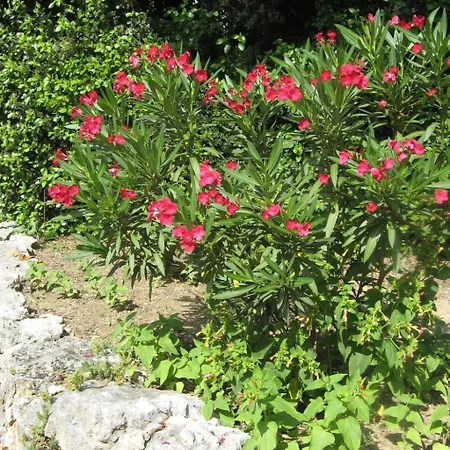 Holiday home A L'abri Du Mistral By Interhome Collorgues